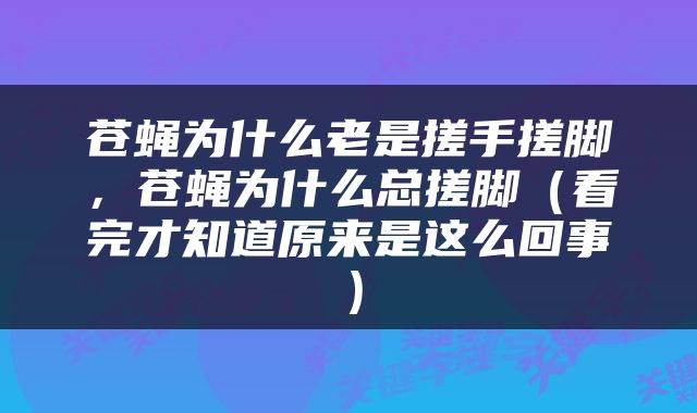 苍蝇为什么老是搓手搓脚，苍蝇为什么总搓脚（看完才知道原来是这么回事）