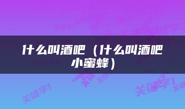 什么叫酒吧（什么叫酒吧小蜜蜂）