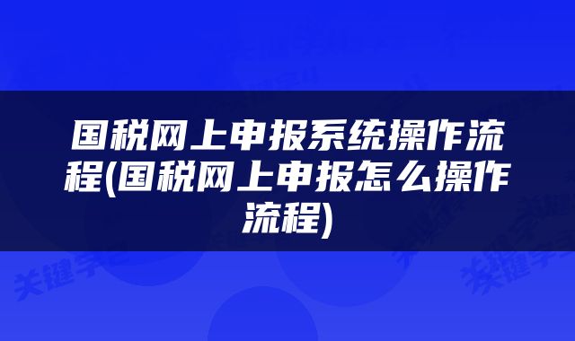 国税网上申报系统操作流程(国税网上申报怎么操作流程)