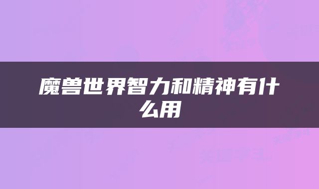 魔兽世界智力和精神有什么用