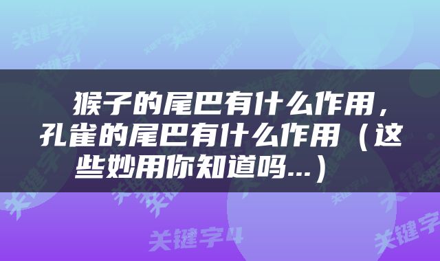  猴子的尾巴有什么作用，孔雀的尾巴有什么作用（这些妙用你知道吗...） 