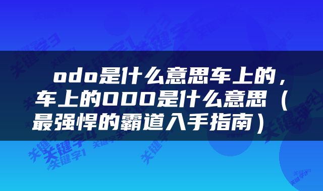  odo是什么意思车上的，车上的ODO是什么意思（最强悍的霸道入手指南） 