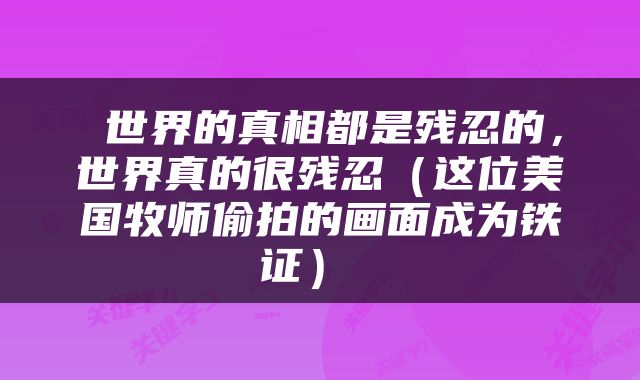  世界的真相都是残忍的，世界真的很残忍（这位美国牧师偷拍的画面成为铁证） 