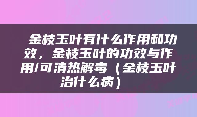  金枝玉叶有什么作用和功效，金枝玉叶的功效与作用/可清热解毒（金枝玉叶治什么病） 