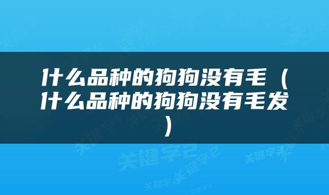 什么品种的狗狗没有毛（什么品种的狗狗没有毛发）