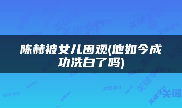 陈赫被女儿围观(他如今成功洗白了吗)