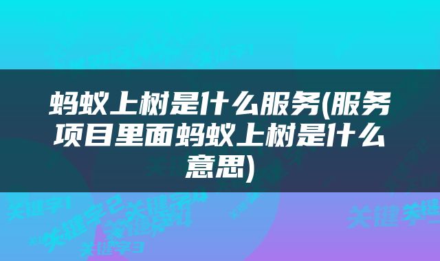 蚂蚁上树是什么服务(服务项目里面蚂蚁上树是什么意思)