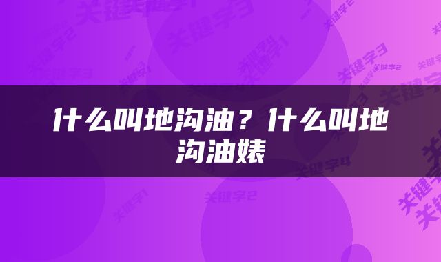 什么叫地沟油？什么叫地沟油婊