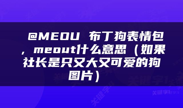  @MEOU 布丁狗表情包，meout什么意思（如果社长是只又大又可爱的狗图片） 