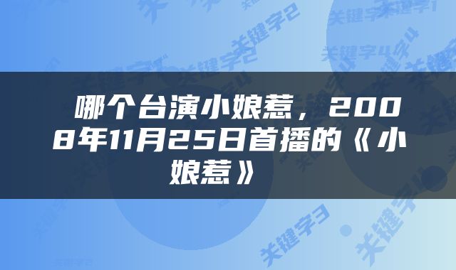  哪个台演小娘惹，2008年11月25日首播的《小娘惹》 