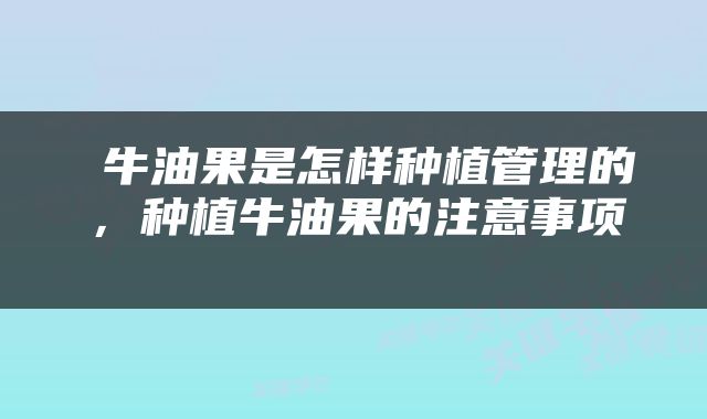  牛油果是怎样种植管理的，种植牛油果的注意事项 