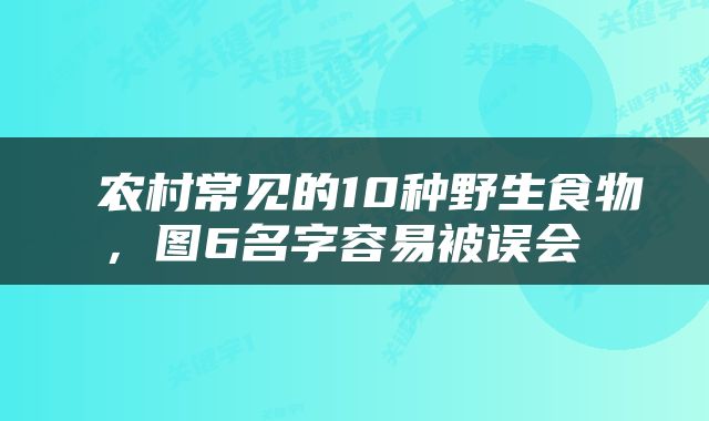  农村常见的10种野生食物，图6名字容易被误会 