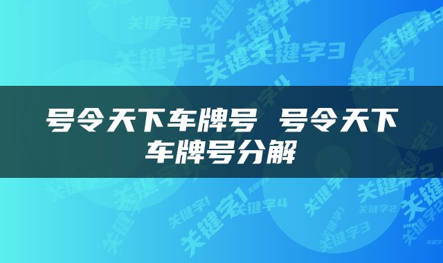号令天下车牌号 号令天下车牌号分解