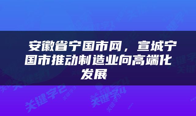 安徽省宁国市网,宣城宁国市推动制造业向高端化发展