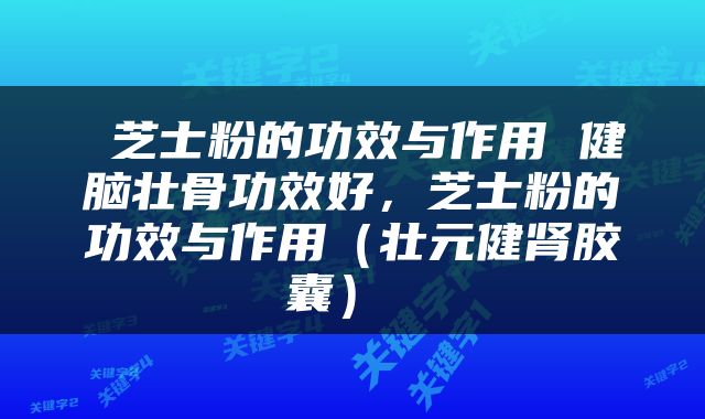  芝士粉的功效与作用 健脑壮骨功效好，芝士粉的功效与作用（壮元健肾胶囊） 