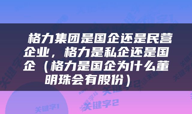  格力集团是国企还是民营企业，格力是私企还是国企（格力是国企为什么董明珠会有股份） 