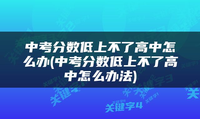 中考分数低上不了高中怎么办(中考分数低上不了高中怎么办法)