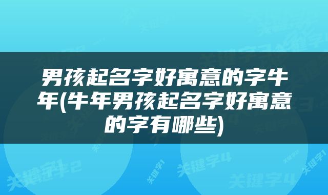 男孩起名字好寓意的字牛年(牛年男孩起名字好寓意的字有哪些)