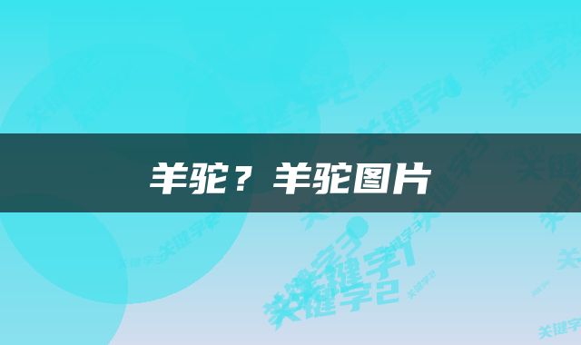 羊驼？羊驼图片