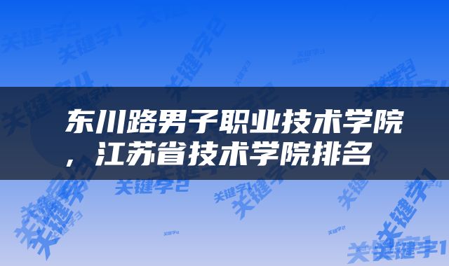  东川路男子职业技术学院，江苏省技术学院排名 