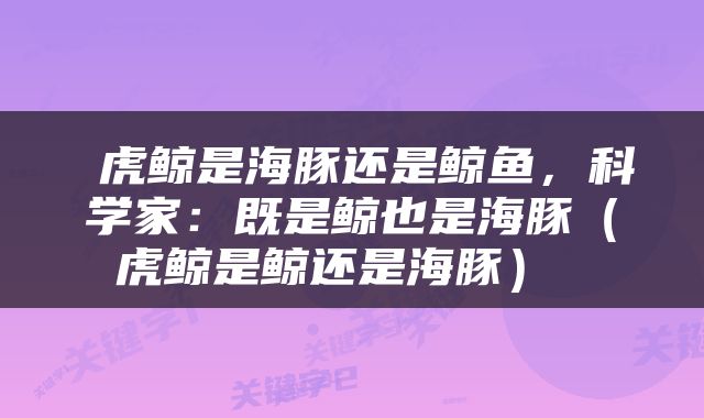  虎鲸是海豚还是鲸鱼，科学家：既是鲸也是海豚（虎鲸是鲸还是海豚） 