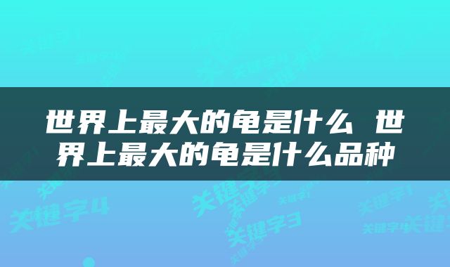 世界上最大的龟是什么 世界上最大的龟是什么品种