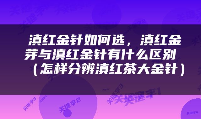  滇红金针如何选，滇红金芽与滇红金针有什么区别（怎样分辨滇红茶大金针） 