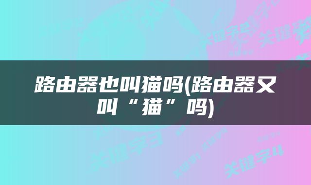 路由器也叫猫吗(路由器又叫“猫”吗)