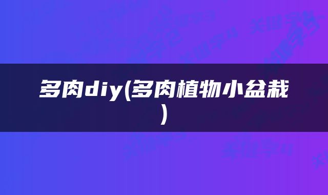 多肉diy(多肉植物小盆栽)