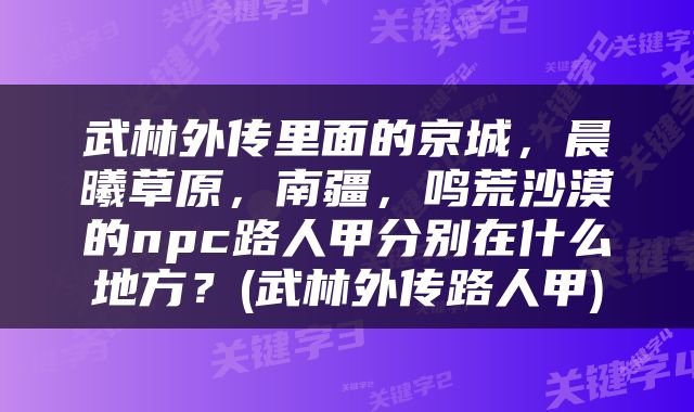 武林外传里面的京城，晨曦草原，南疆，鸣荒沙漠的npc路人甲分别在什么地方？(武林外传路人甲)