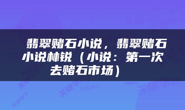  翡翠赌石小说，翡翠赌石小说林锐（小说：第一次去赌石市场） 