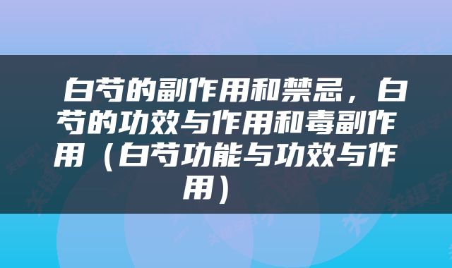 白芍的副作用和禁忌，白芍的功效与作用和毒副作用（白芍功能与功效与作用） 