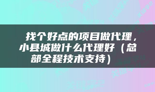  找个好点的项目做代理，小县城做什么代理好（总部全程技术支持） 