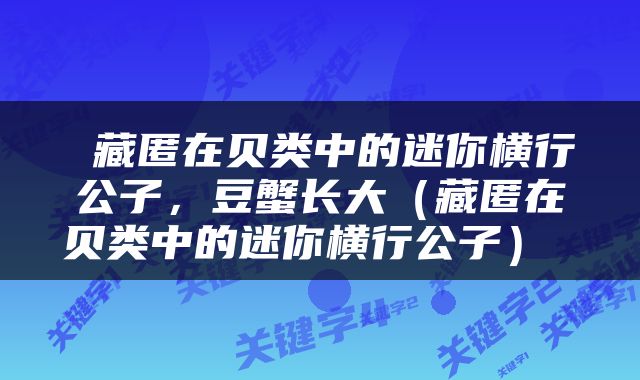 藏匿在贝类中的迷你横行公子，豆蟹长大（藏匿在贝类中的迷你横行公子） 