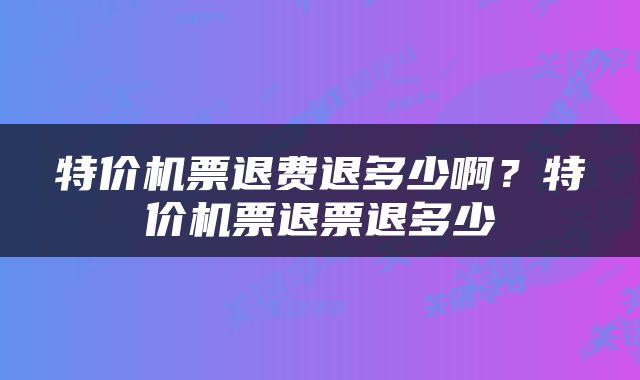 特价机票退费退多少啊？特价机票退票退多少
