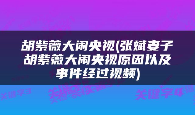 胡紫薇大闹央视(张斌妻子胡紫薇大闹央视原因以及事件经过视频)