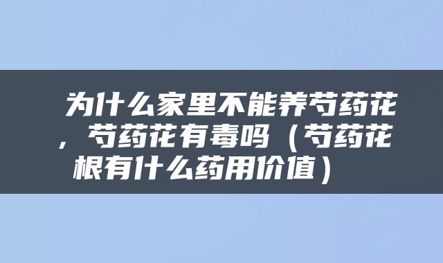  为什么家里不能养芍药花，芍药花有毒吗（芍药花根有什么药用价值） 