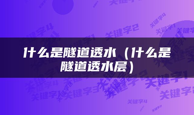 什么是隧道透水（什么是隧道透水层）