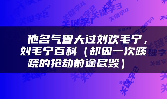  他名气曾大过刘欢毛宁，刘毛宁百科（却因一次蹊跷的抢劫前途尽毁） 