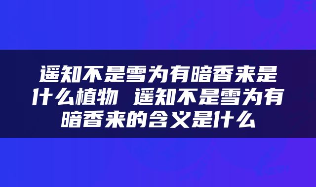 遥知不是雪为有暗香来是什么植物 遥知不是雪为有暗香来的含义是什么