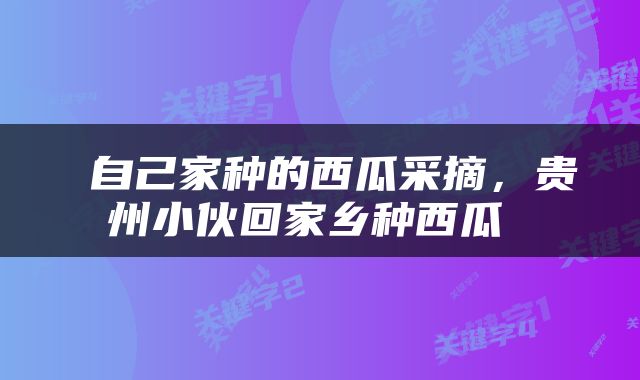  自己家种的西瓜采摘，贵州小伙回家乡种西瓜 