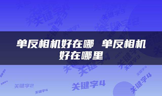 单反相机好在哪 单反相机好在哪里