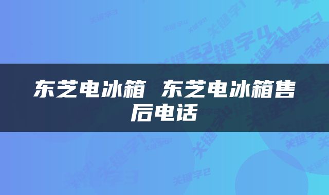 东芝电冰箱 东芝电冰箱售后电话