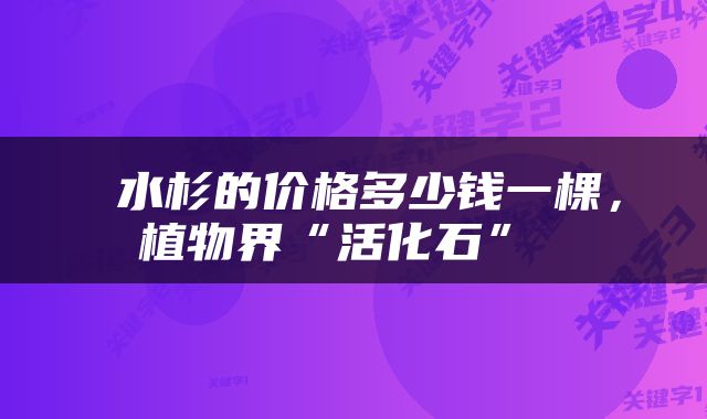  水杉的价格多少钱一棵，植物界“活化石” 