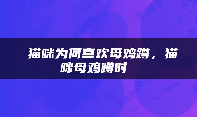  猫咪为何喜欢母鸡蹲，猫咪母鸡蹲时 