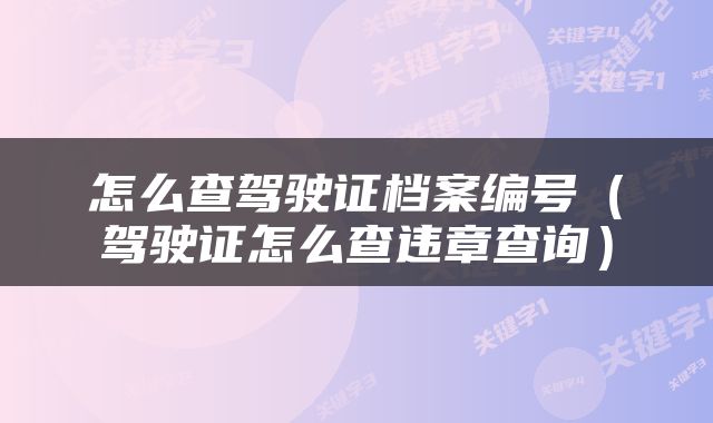 怎么查驾驶证档案编号（驾驶证怎么查违章查询）