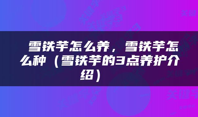  雪铁芋怎么养，雪铁芋怎么种（雪铁芋的3点养护介绍） 
