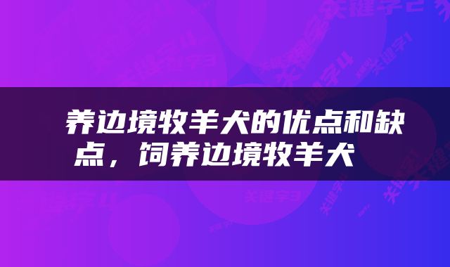  养边境牧羊犬的优点和缺点，饲养边境牧羊犬 