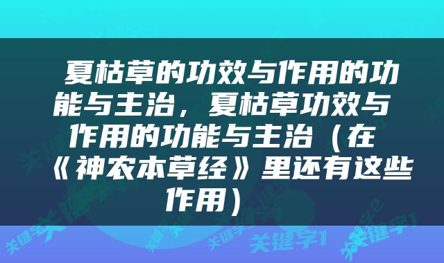  夏枯草的功效与作用的功能与主治，夏枯草功效与作用的功能与主治（在《神农本草经》里还有这些作用） 
