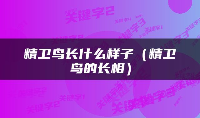 精卫鸟长什么样子（精卫鸟的长相）
